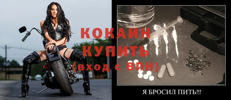 КОКАИН Fish Scale  Гусиноозёрск 